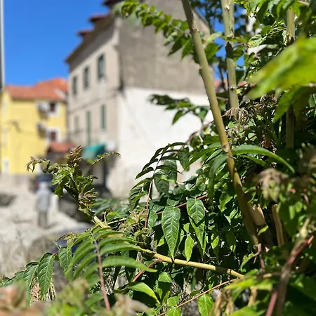 Apartment Fonte
